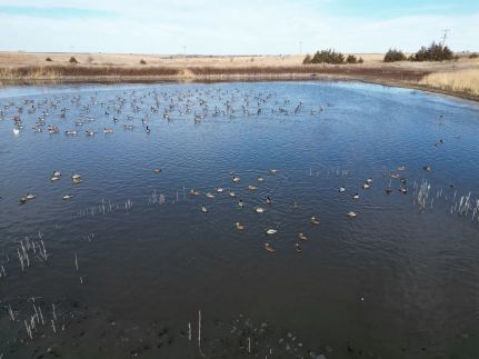 Ranch Property for sale in Barton County, Kansas