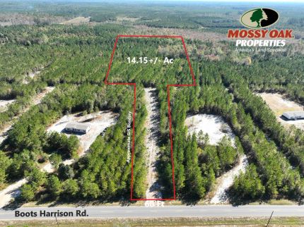 Timberland Property for sale in Brantley County, Georgia