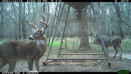 Hunting Land for sale in Avoyelles Parish, Louisiana