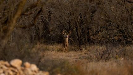 Property for sale in Concho County, Texas