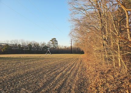 Residential Property for sale in Dorchester County, Maryland