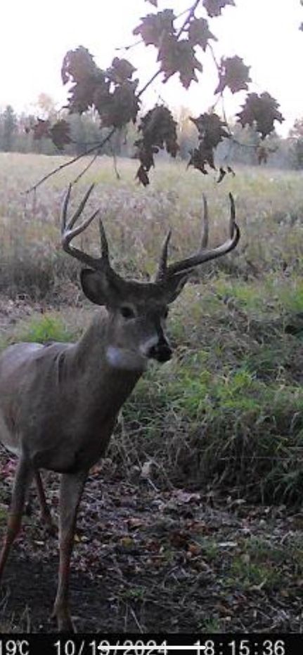 Property in Waupaca County, Wisconsin