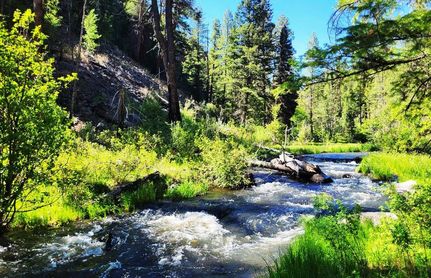 Recreational Property for sale in Navajo County, Arizona