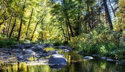 Property for sale in Navajo County, Arizona