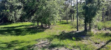 Undeveloped Land for sale in Polk County, Florida