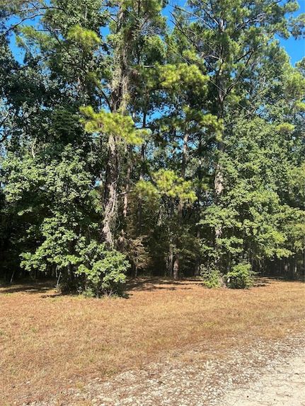 Undeveloped Land for sale in Polk County, Texas