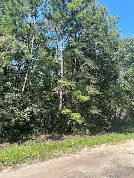 Undeveloped Land for sale in Polk County, Texas