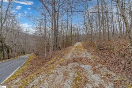 Undeveloped Land for sale in Greenville County, South Carolina