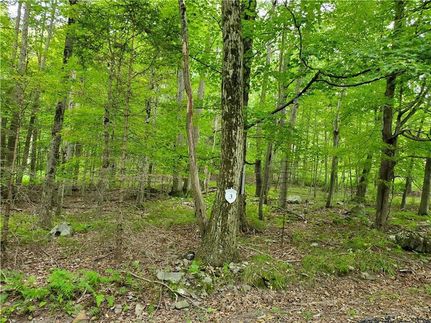 Property for sale in Monroe County, Pennsylvania