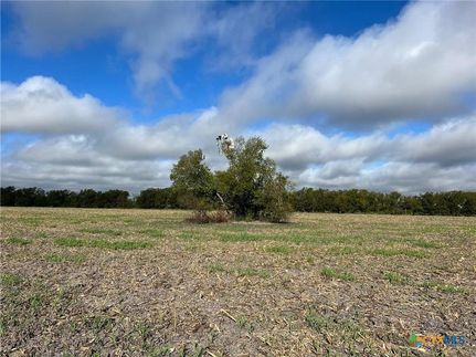Undeveloped Land for sale in Milam County, Texas