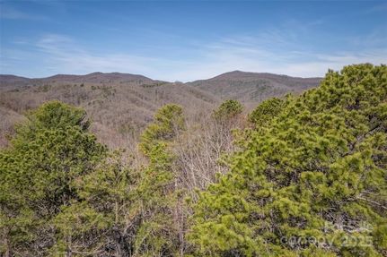 Property for sale in Transylvania County, North Carolina