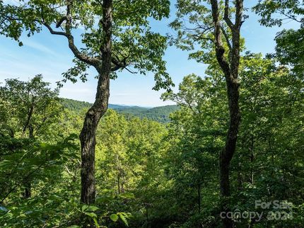 Undeveloped Land for sale in Henderson County, North Carolina