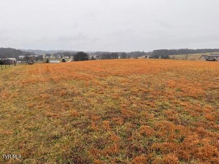 Property for sale in Washington County, Tennessee