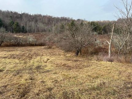 Undeveloped Land for sale in Susquehanna County, Pennsylvania