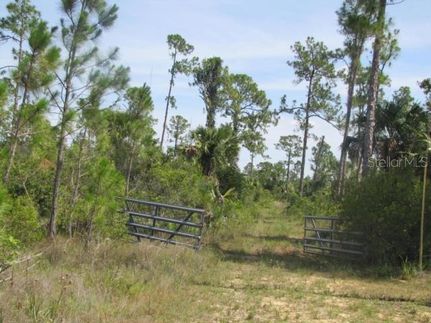 Undeveloped Land for sale in Lee County, Florida