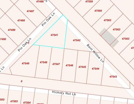 Undeveloped Land for sale in Angelina County, Texas