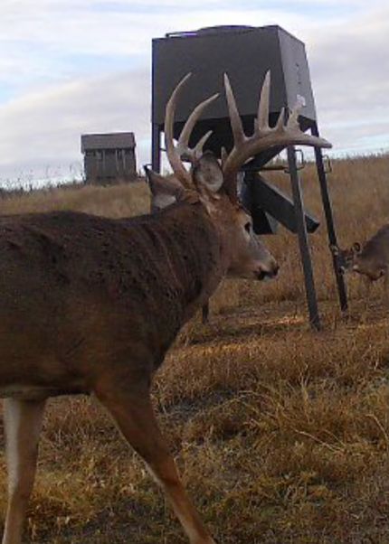 Property for sale in Kiowa County, Kansas