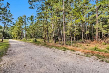 Undeveloped Land for sale in Montgomery County, Texas