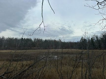 Lakefront Property for sale in Oscoda County, Michigan