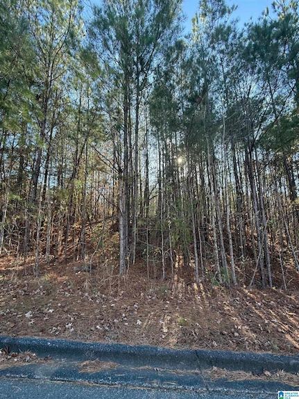 Property for sale in Shelby County, Alabama
