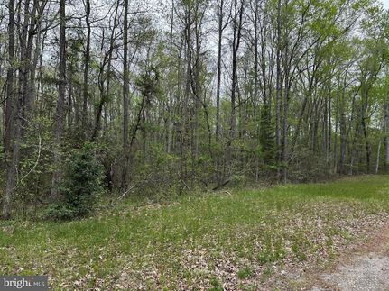 Undeveloped Land for sale in Caroline County, Virginia