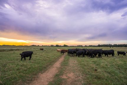 Recreational Property for sale in Morris County, Texas