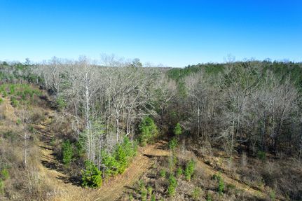 Hunting Land for sale in Clarke County, Alabama
