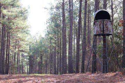 Recreational Property for sale in Lexington County, South Carolina