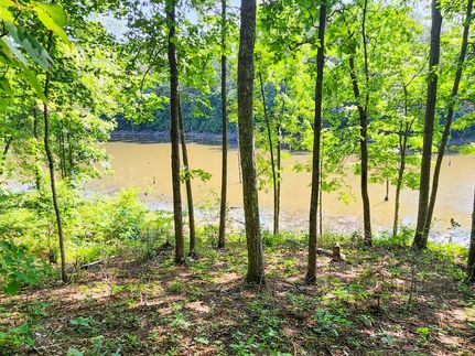 Property in Scott County, Tennessee