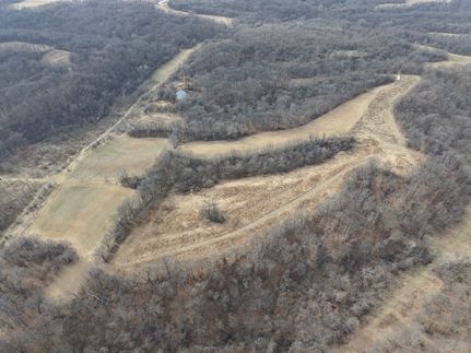 Property for sale in Pike County, Illinois