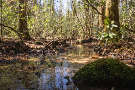Recreational Property for sale in Bibb County, Alabama