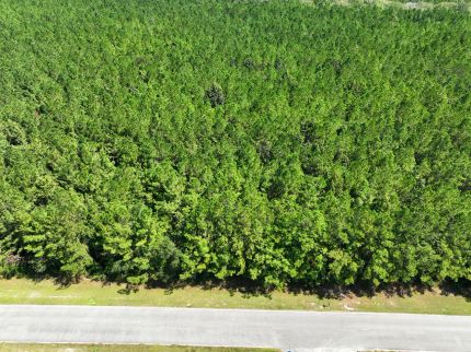 Recreational Property for sale in Camden County, Georgia