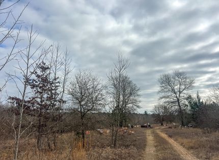 Undeveloped Land for sale in Cass County, Texas