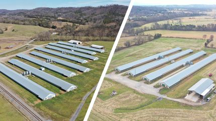 Property for sale in Hamblen County, Tennessee