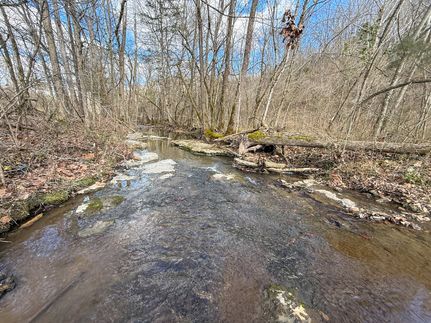 Property for sale in Bedford County, Tennessee