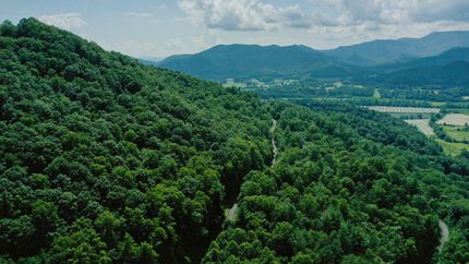 Undeveloped Land for sale in Rabun County, Georgia