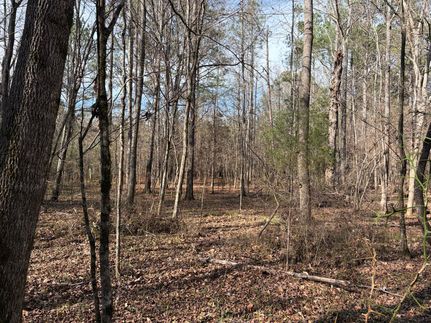 Property for sale in Lowndes County, Alabama