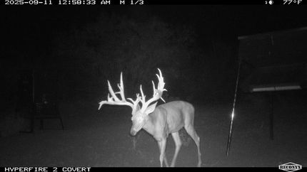 Property for sale in Zavala County, Texas