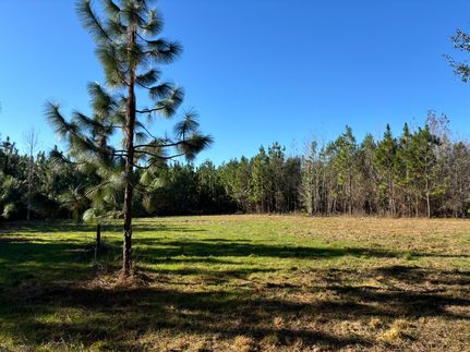 Ranch Property for sale in Gadsden County, Florida