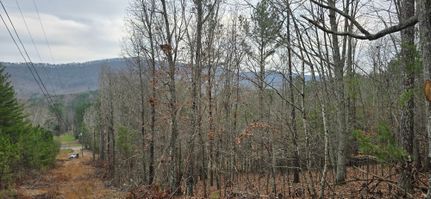 Recreational Property for sale in Chattooga County, Georgia