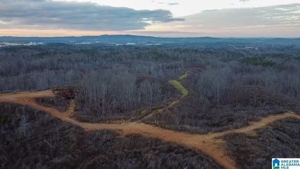 Timberland Property for sale in Talladega County, Alabama