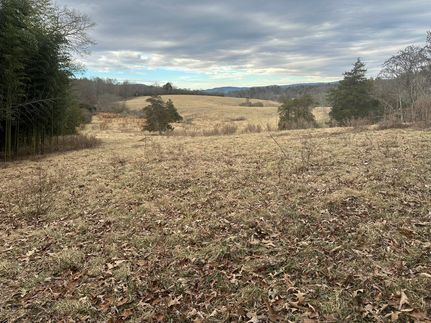 Hunting Land for sale in Wilkes County, North Carolina
