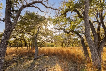 Hunting Land for sale in Kendall County, Texas