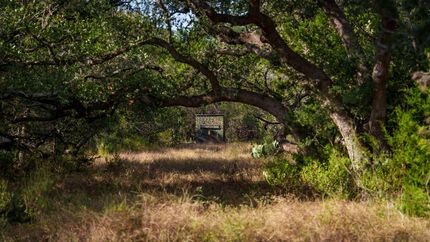 Hunting Land for sale in Comal County, Texas