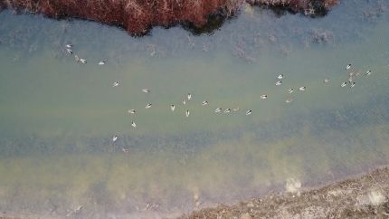 Riverfront Property for sale in Cross County, Arkansas