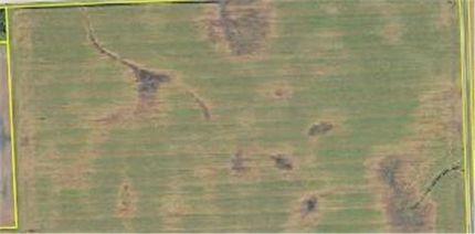 Property for sale in Stevens County, Minnesota