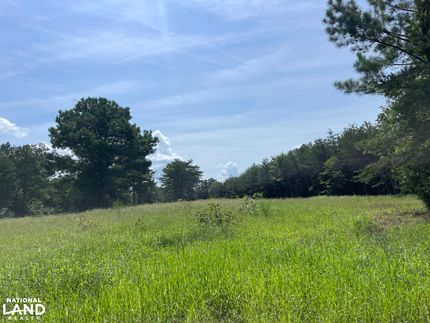 Property for sale in Tuscaloosa County, Alabama