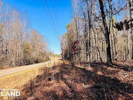 Residential Property for sale in Meriwether County, Georgia