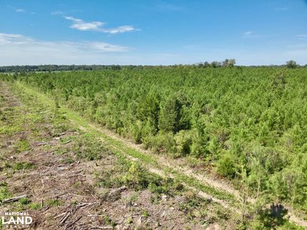 Hunting Land for sale in Geneva County, Alabama