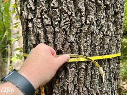 Property for sale in Dallas County, Alabama